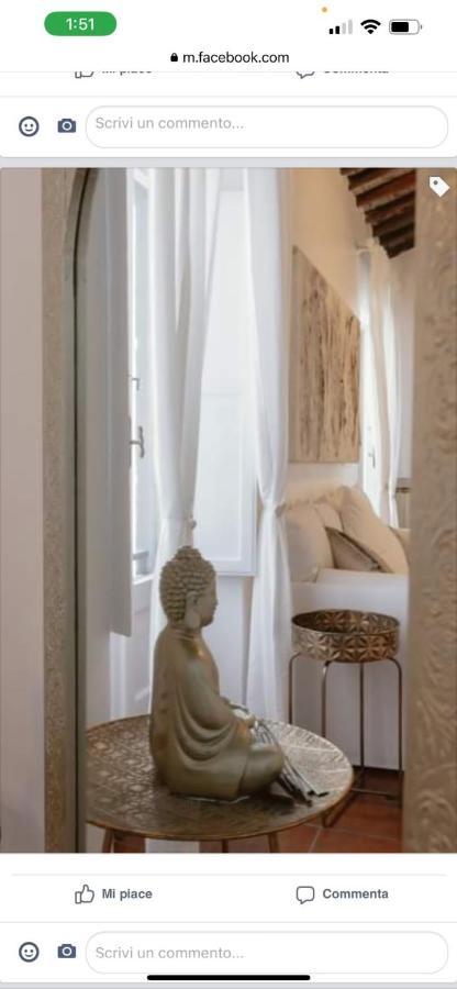 Navona Nest Luxury